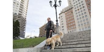 NOTA DE PRENSA DÍA INTERNACIONAL DEL PERRO GUÍA