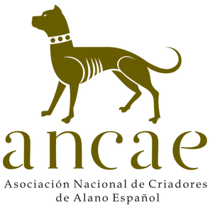Logo_Alano-Espanyol