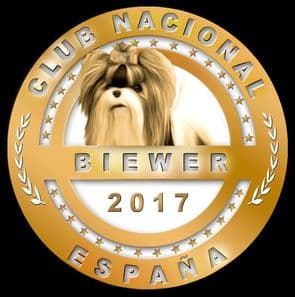 Logo_Biewer-web