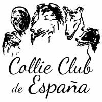 Logo_Collie