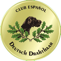 Logo_Deutsch-Drahthaar