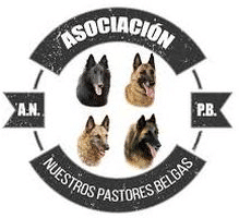 Logo_Pastor_Belga