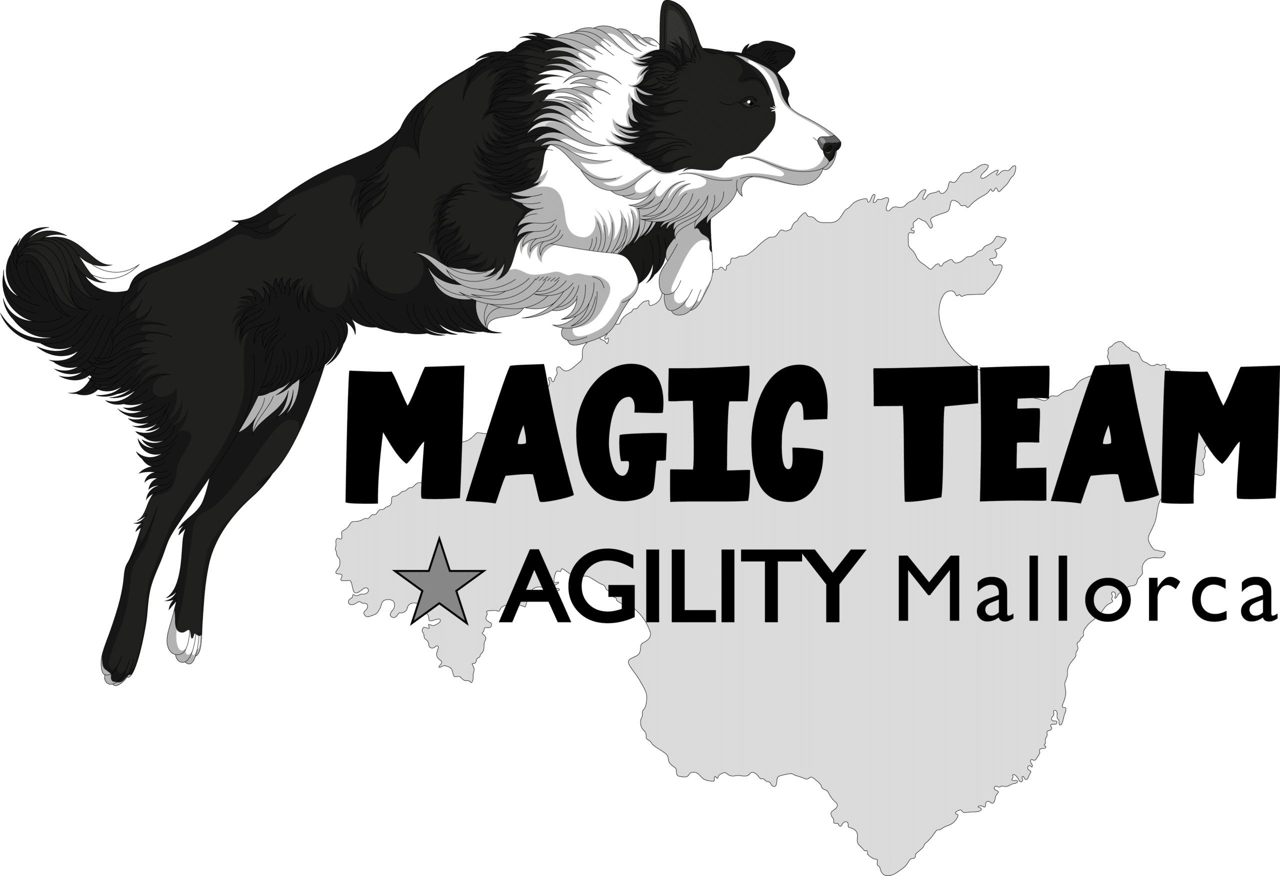 Magic Team