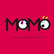 Momo agility