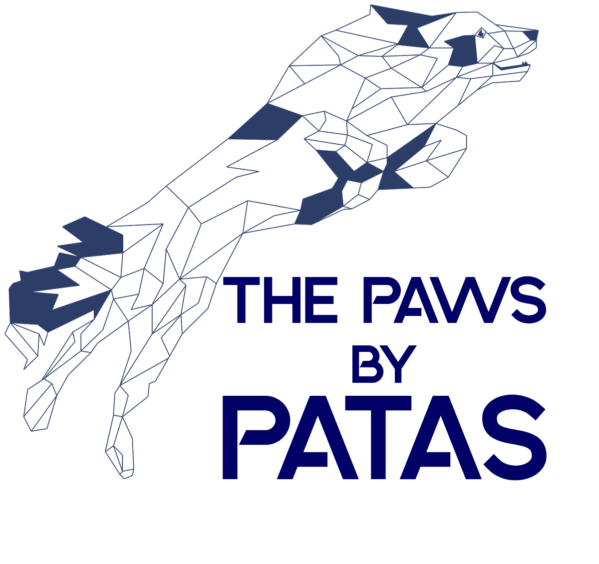Paws_By_Patas