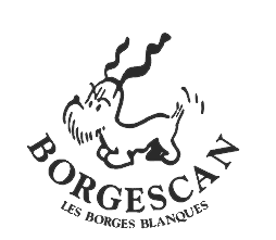 borgescan