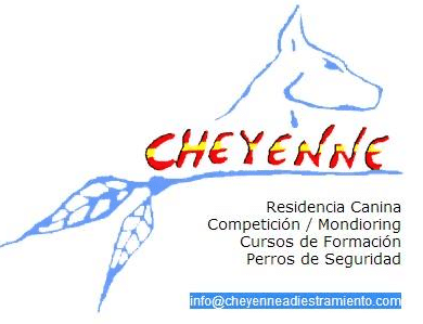 cheyenne