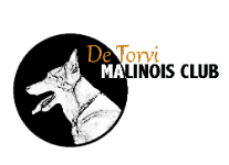 detorvi