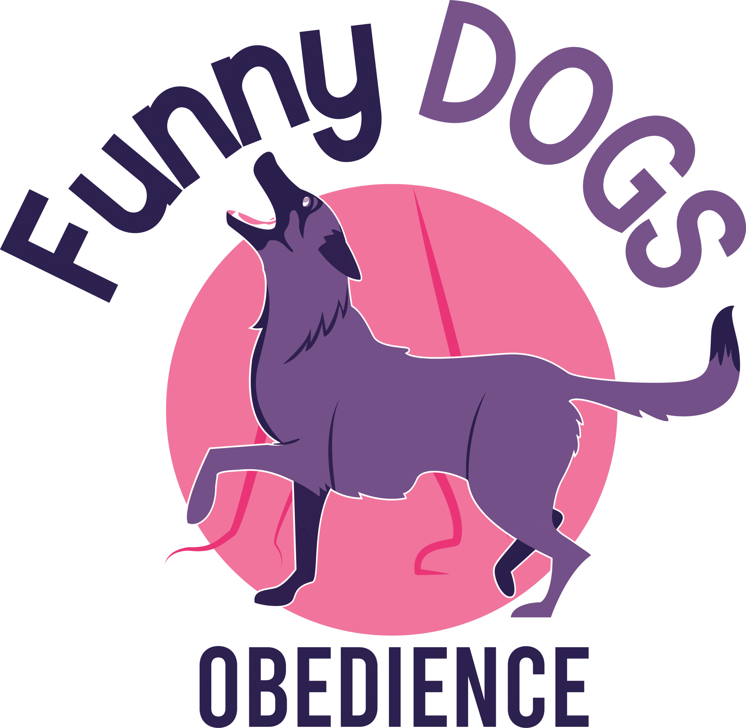 funny_dogs