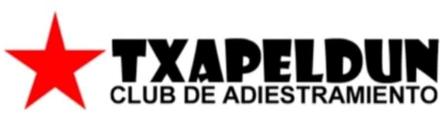txapeldun