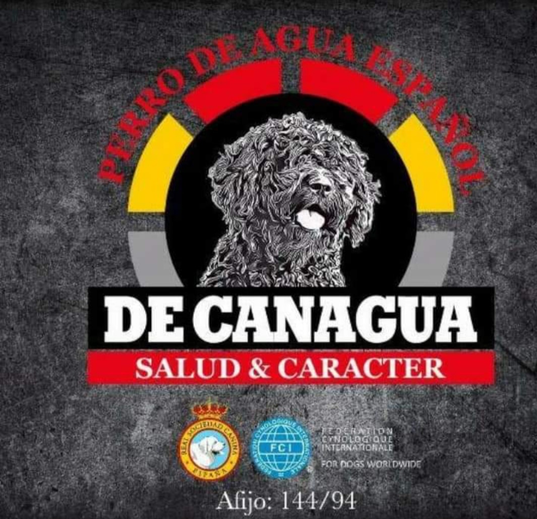 DE_CANAGUA-logo