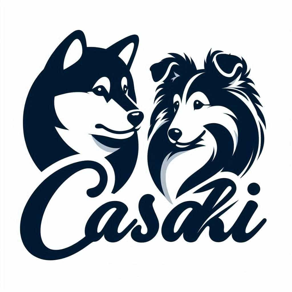CASAKI - logo