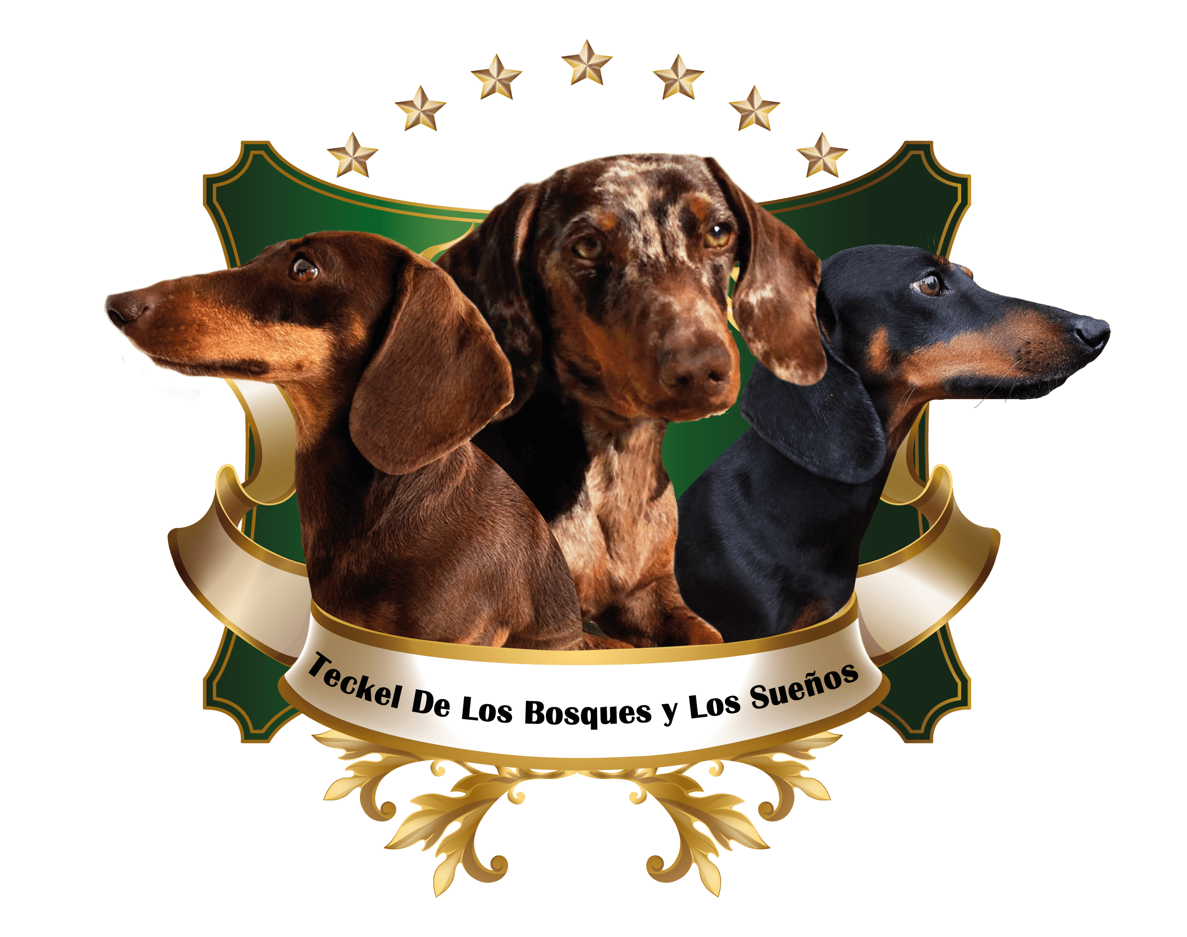 DE LOS BOSQUES Y LOS SUEÑOS - logo