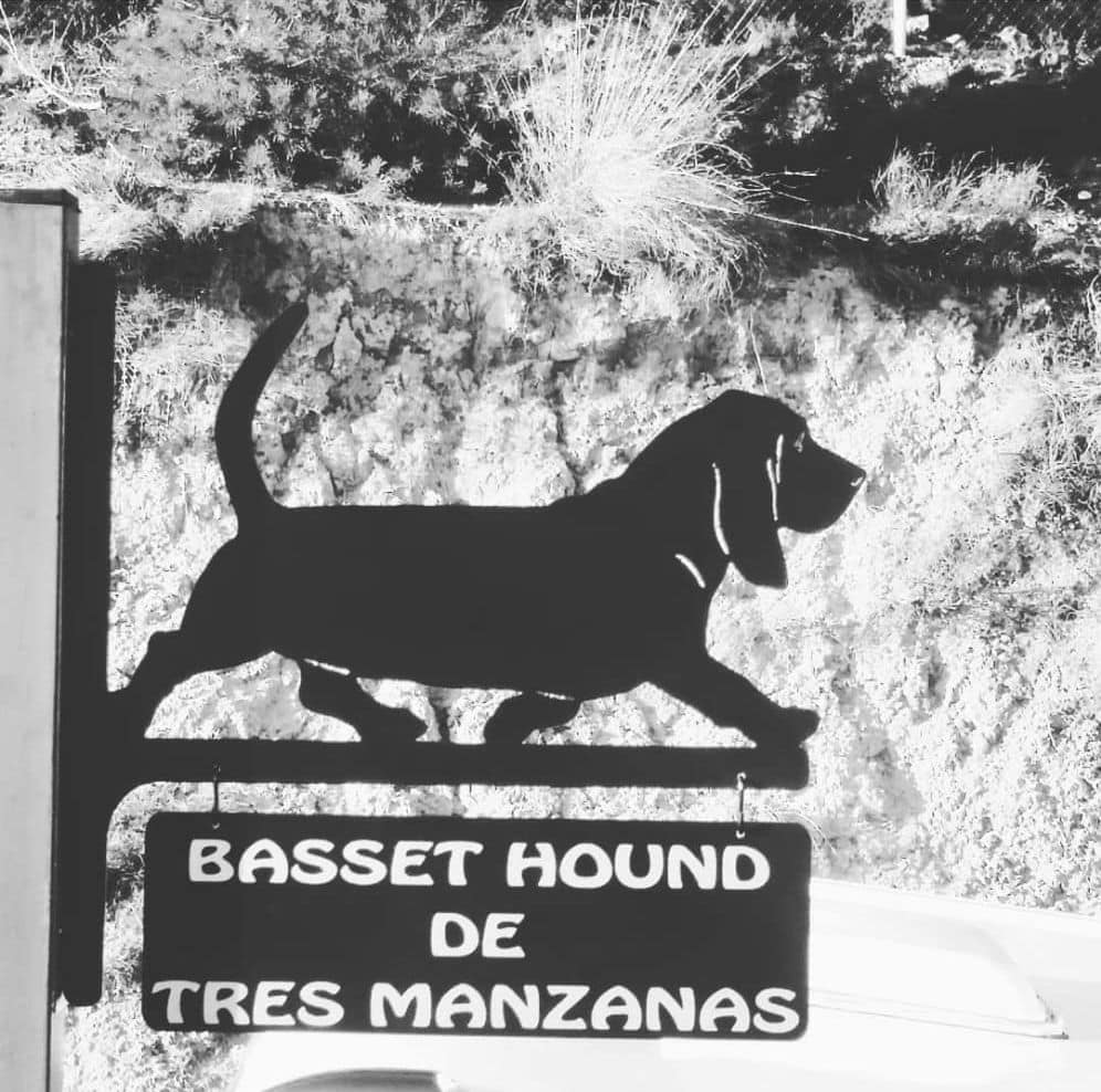 DE TRES MANZANAS - logo-