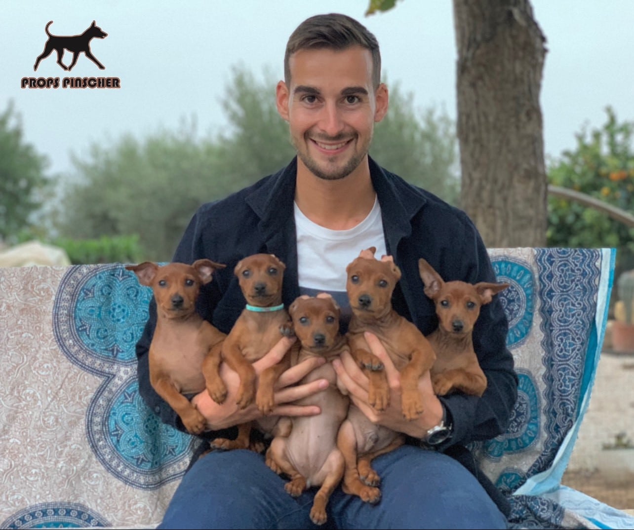 PROPS_TO_MINIATURE_PINSCHER-1