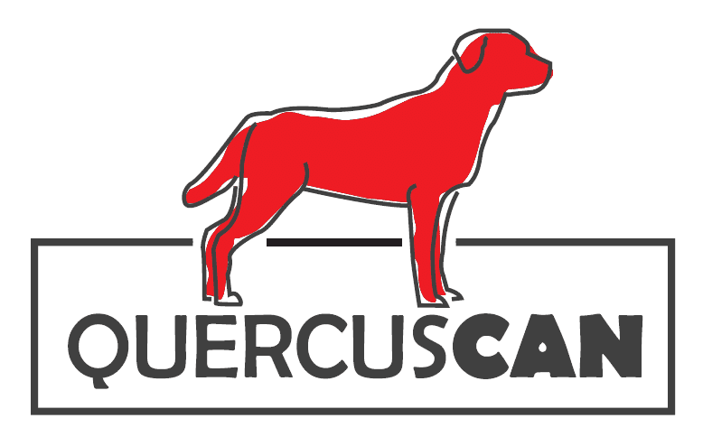 QUERCUSCAN - logo