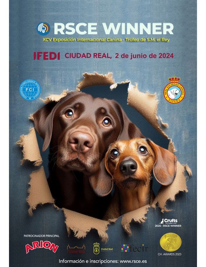 Cartel_Expo_2024-RSCE Winner-web-