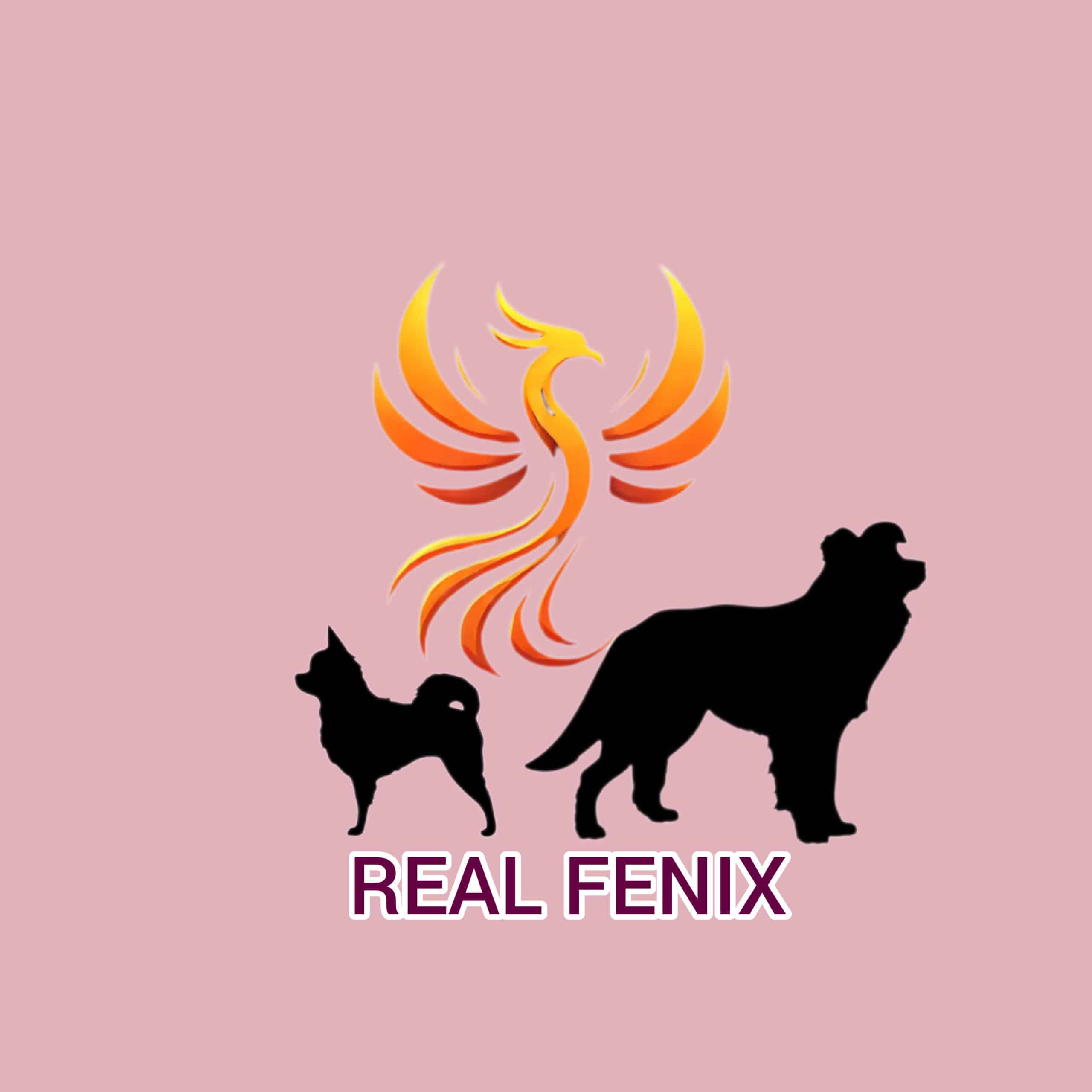 REAL FENIX-logo
