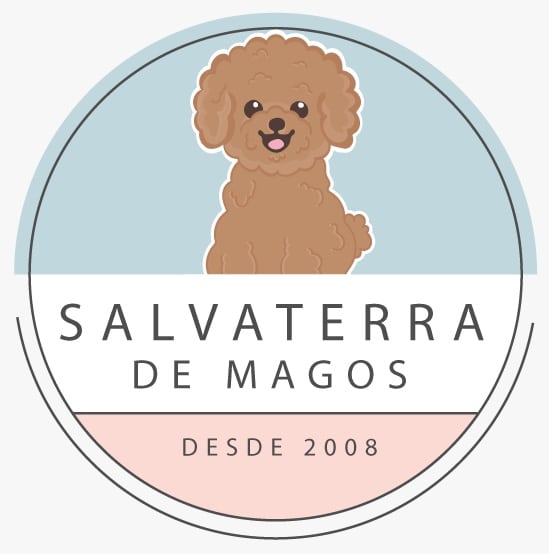 SALVATERRA DE MAGOS-logo