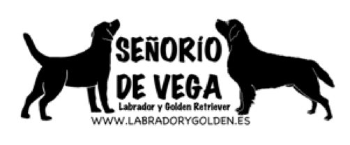 SEÑORIO DE VEGA-logo