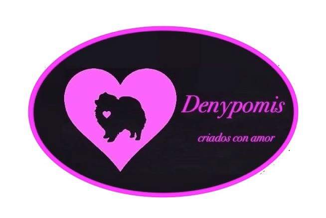 DENYPOMIS - logo