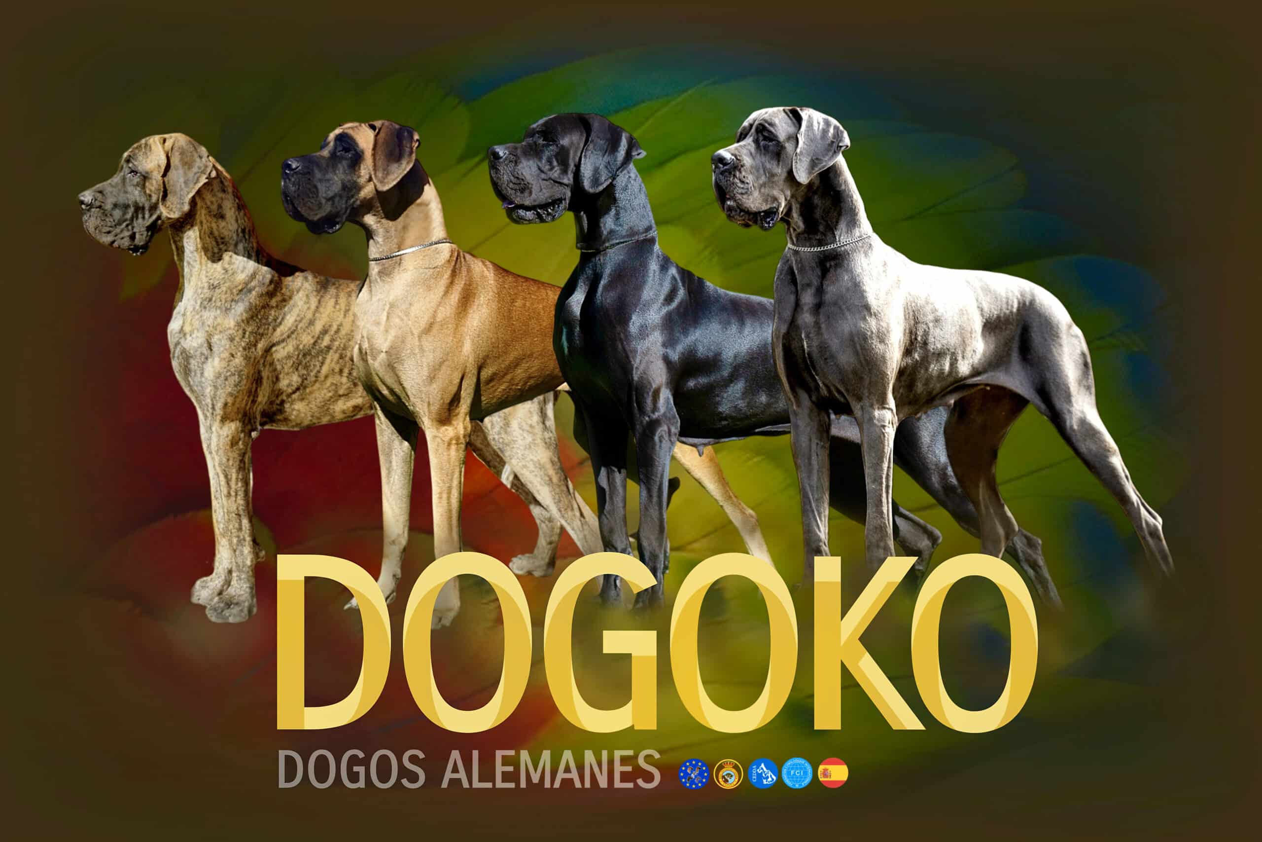 DOGOKO - logo
