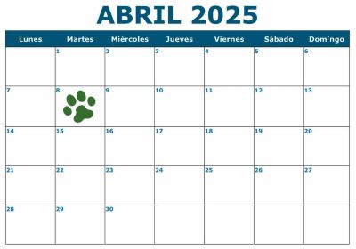 calendario_1cierre